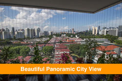 The Regency At Tiong Bahru (D3), Condominium #145192792